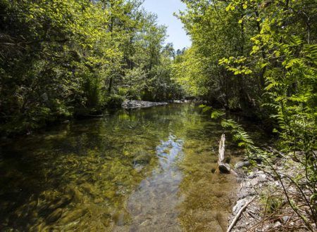 Gîte Le Mazet du Boissin - Baignade en rivière